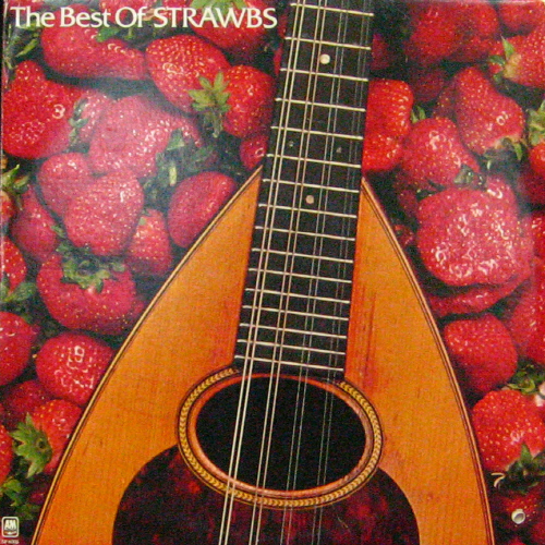 Strawbs/The Best of Strawbs(2lp)