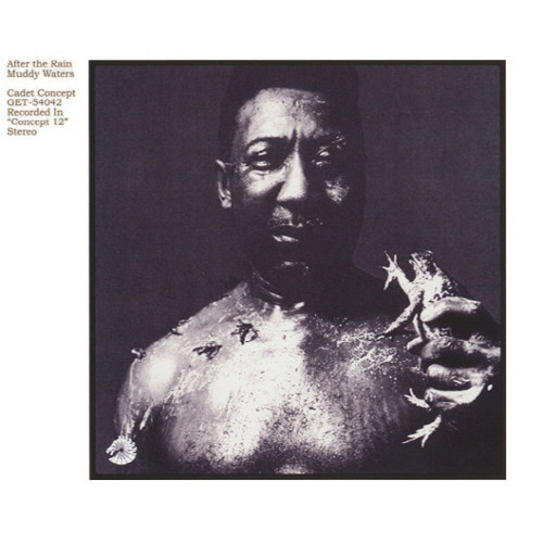 Muddy Waters/After The Rain(미개봉)