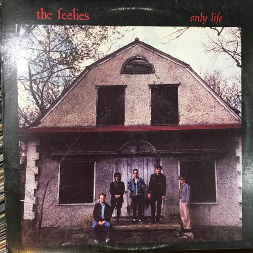 Feelies/Only Life