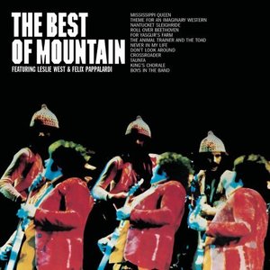 Mountain/Best of Mountain(미개봉)