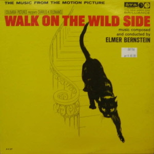 Walk on the wild side/Elmer Berstein
