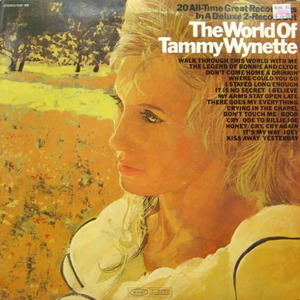 Tamnmy Wynette/The world of Tammy Wynette(2lp)