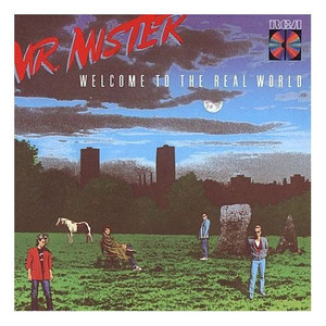 Mr. Mister/Welcome to the real world (cd)