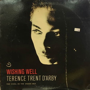 Terence Trent D&#039;arby/Wishing Well(12&quot; 싱글)