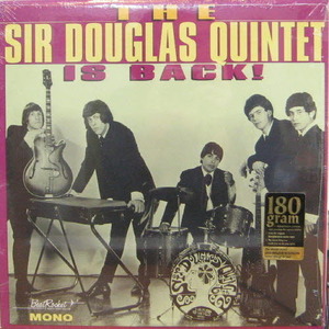 Sir Douglas Quintet/The Sir Douglas Quintet Is Back (미개봉, 180g)