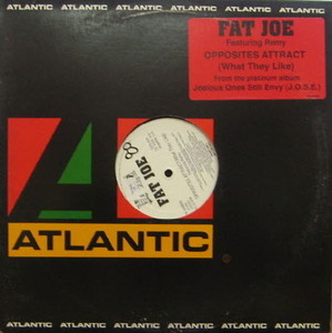 Fat Joe/Opposites Attract (What They Like)(12&quot; Single)