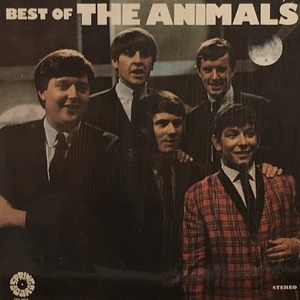 Animals/Best of Animals