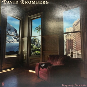 David Bromberg/Long way from here
