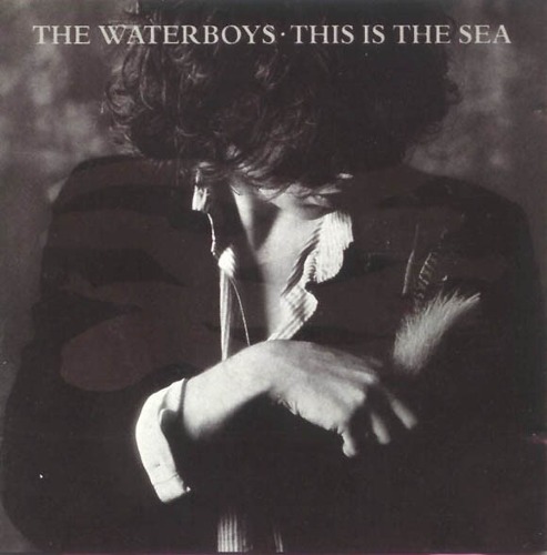 Waterboys/ This is the sea(미개봉)