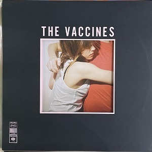 Vaccines / What Did You Expect From The Vaccines?