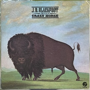 J. D. Blackfoot – The Song Of Crazy Horse