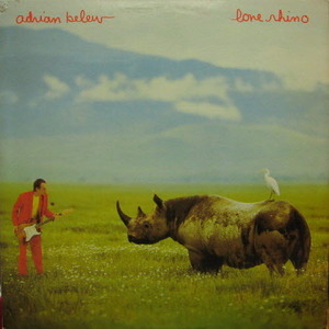 Adrian Belew/Lone Rhino