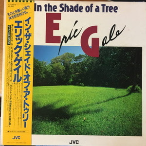 Eric Gale - In the shade of a tree