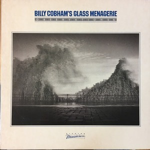 Billy Cobham&#039;s glass menagerie - Observations &amp;